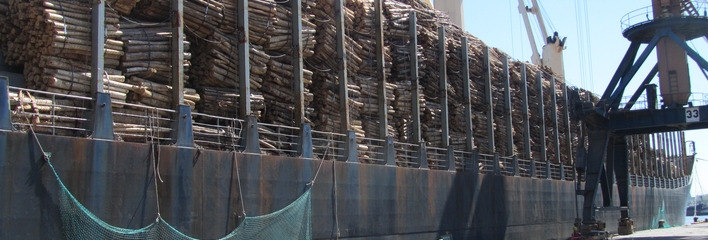 barco madera 1