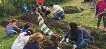 Plan piloto sobre huerta orgánica
